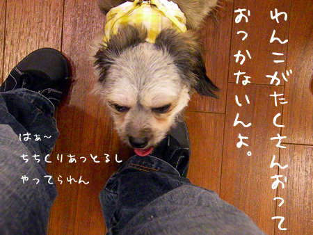 やってられん