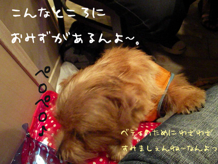 勝手に水を飲むベティ