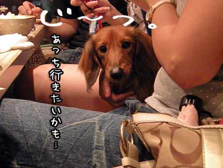そんな三犬を熱く見つめる