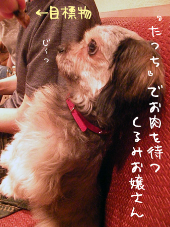 たっち