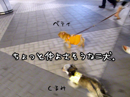 一見仲良さげ