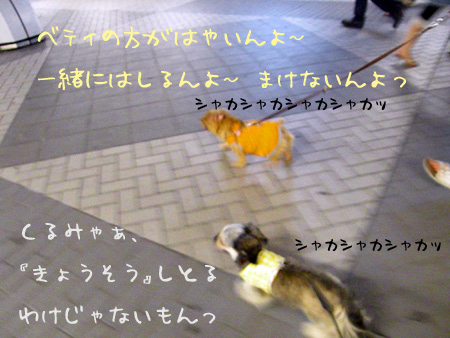 真実はこんな感じ