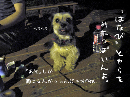 見たっぽいんじゃ