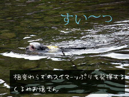 くるっしー