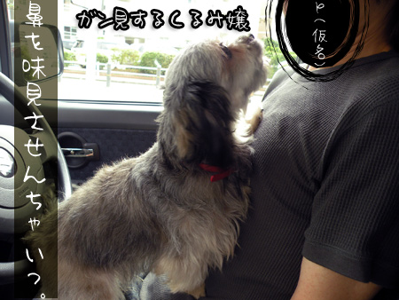鼻狙い