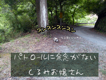 パトロール中