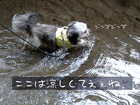 水の中を歩く