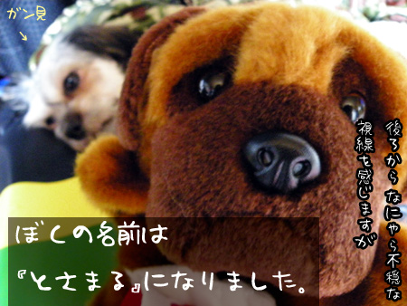 とさまる