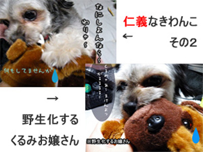 トピックス