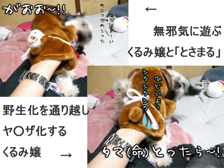 トピックス2