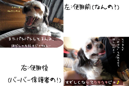 使用前と使用後