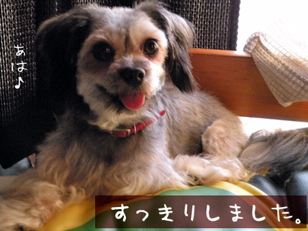 フォトジェニックお嬢さん