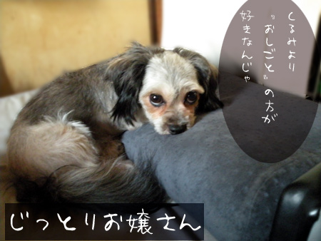 うらみがましいくるみ嬢