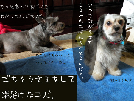 満足げな二犬