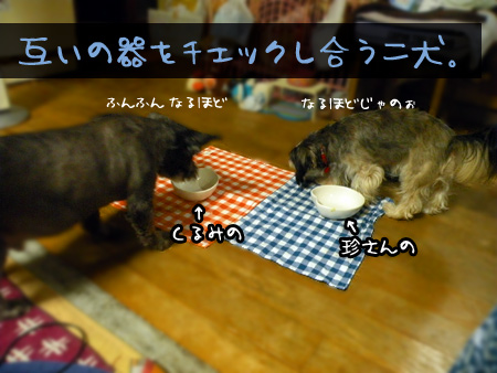 最後のチェッキングタイム