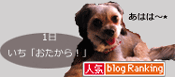 blogranking2