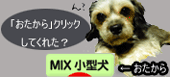 ブログ村2
