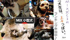 日本ブログ村 Mix小型犬ランキングへ