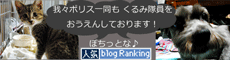 人気blogrankingへ
