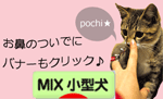 日本ブログ村 Mix小型犬ランキングへ