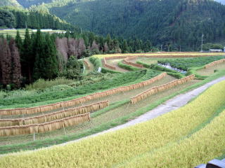 竜神