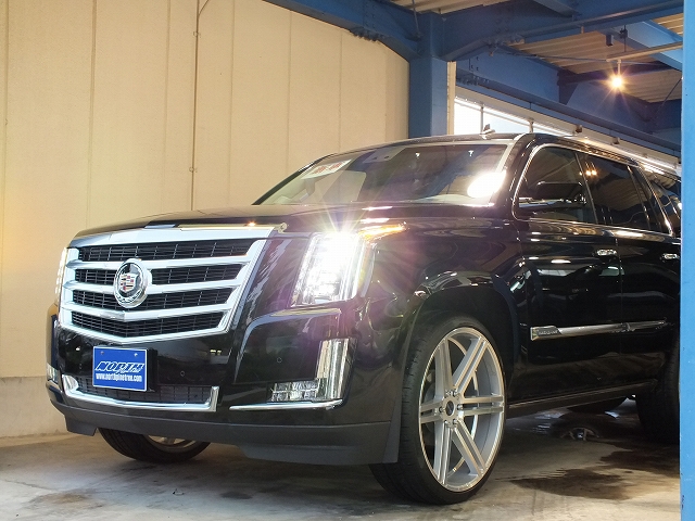 20141027_1020633.jpg
