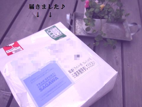 例のもの、届きましたっ!