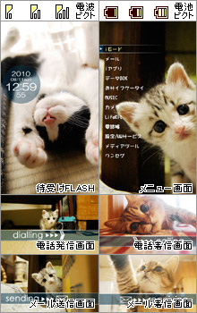 きせかえ猫