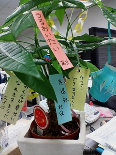 願いよ天の川までとどけ!