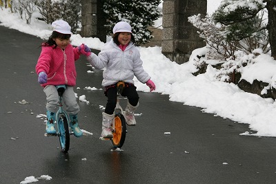 雪の日の一輪車