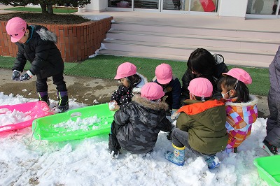 雪でぺんぎん作り