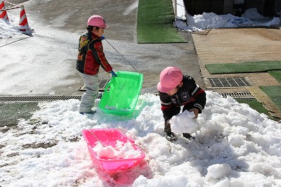 雪でぺんぎん作り