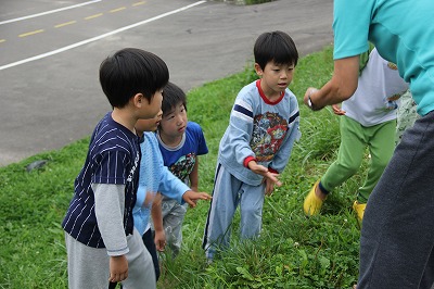 一泊保育虫とり