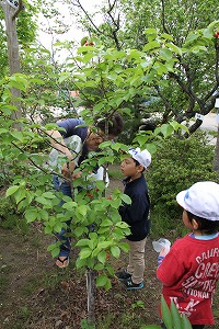 やまびこの自然