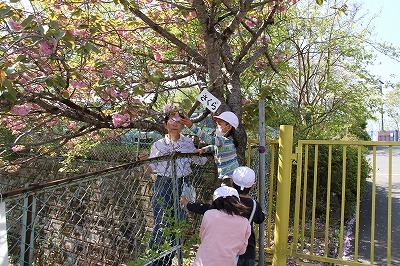 やまびこの自然