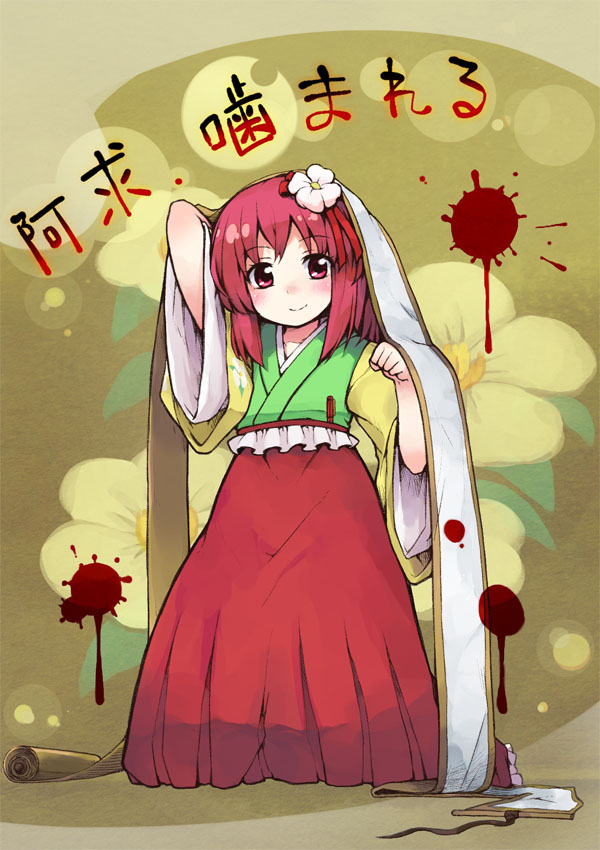 akyu-h.jpg