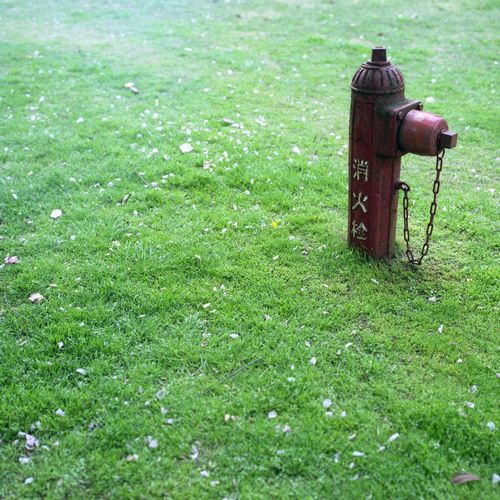 img085.jpg
