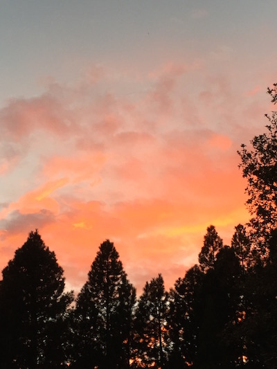 夕焼け