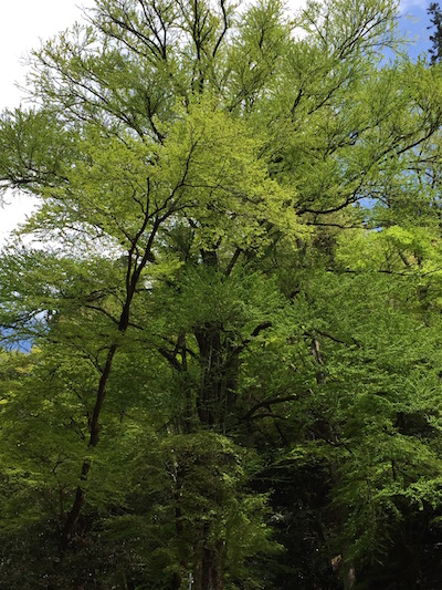 貴船