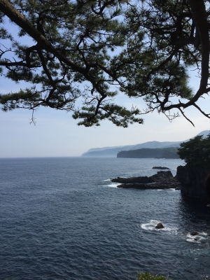 海