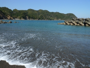 押岡2