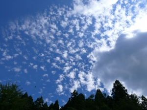 雲2