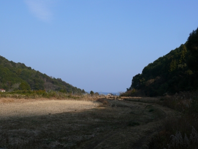 矢井賀
