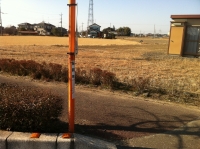 写真2