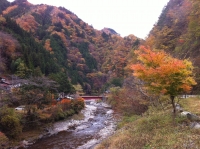 中津峡1