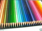 20060313