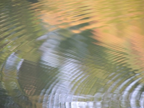 a0960_005900.jpg A0960 005900