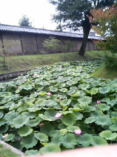 東寺境内