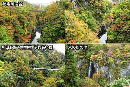 紅葉の朝日地域