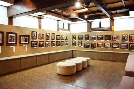 写真コンテスト作品展